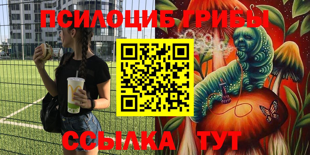 Псилоцибиновые грибы MAGIC MUSHROOMS  наркота  Елабуга  Вход с VPN  Псилоцибиновые грибы Psilocybe 